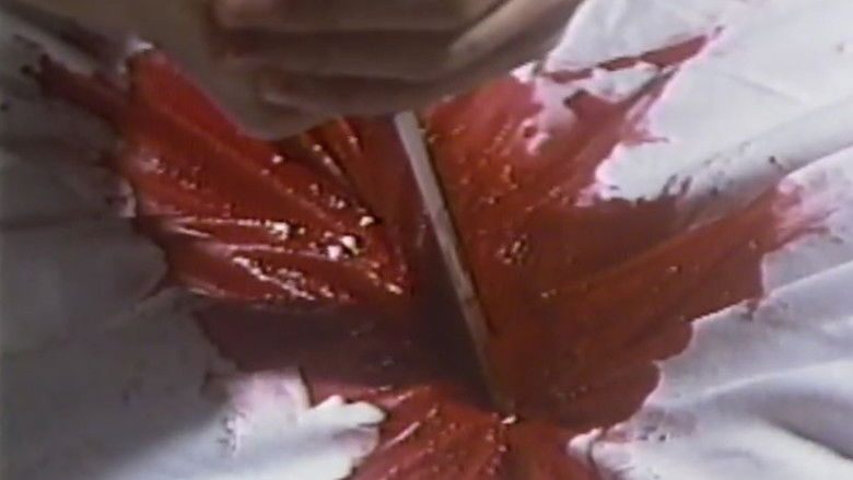 熱くなるまで待てない　沢木夕子