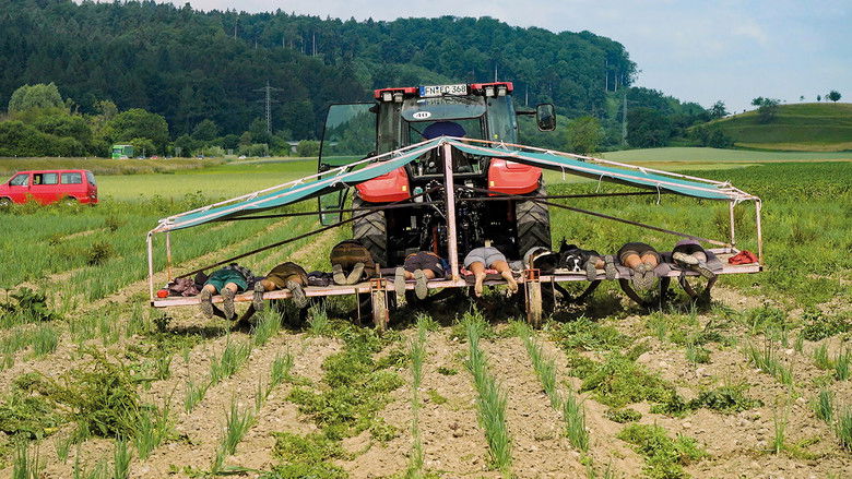кадр из фильма Unser Boden, unser Erbe