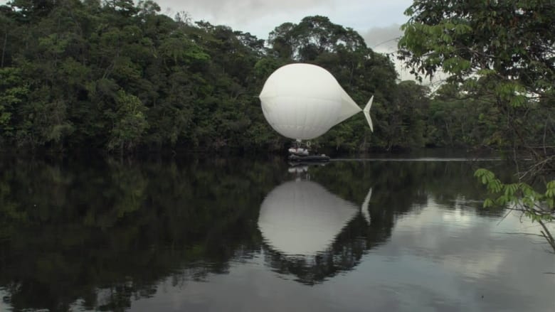 кадр из фильма The White Diamond