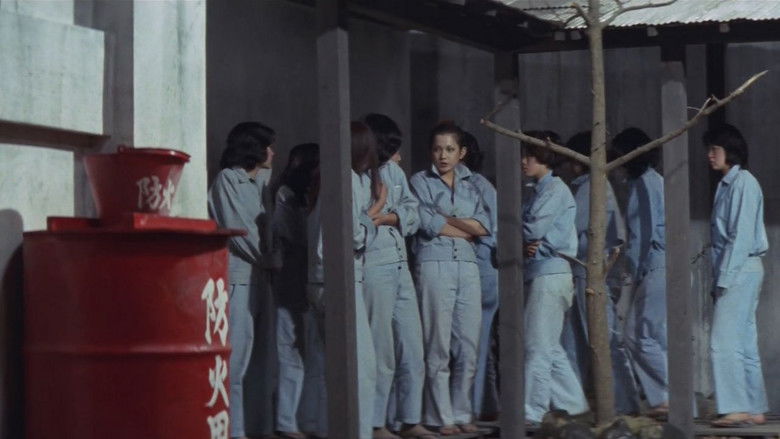 кадр из фильма 実録おんな鑑別所　性地獄