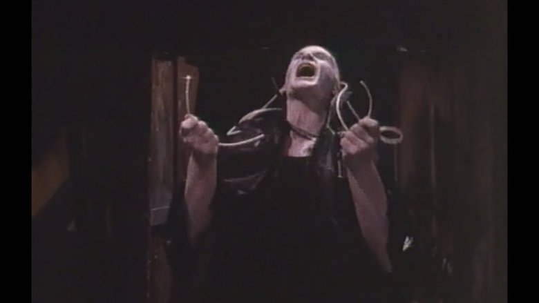 Кибернатор