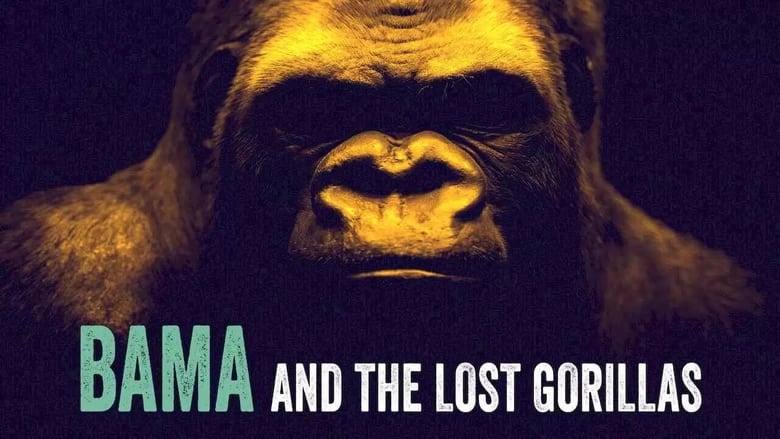 кадр из фильма Bama, der Gorillamann - Abenteuer in Kamerun