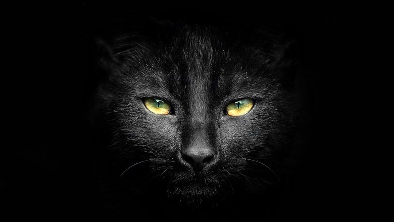 кадр из фильма Sabrina the Teenage Witch