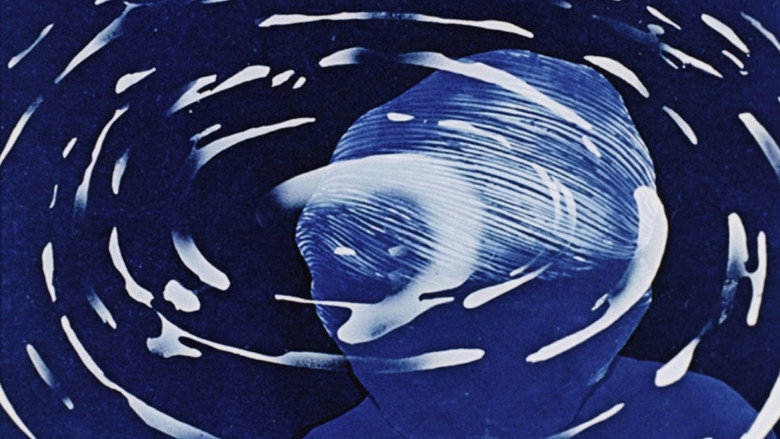 кадр из фильма Winda