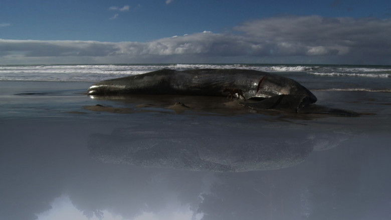 кадр из фильма ¡Vivan las Antipodas!