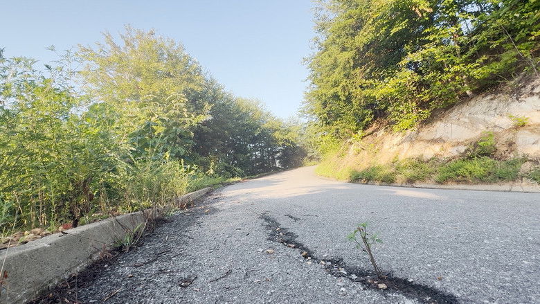 кадр из фильма Creative Eye