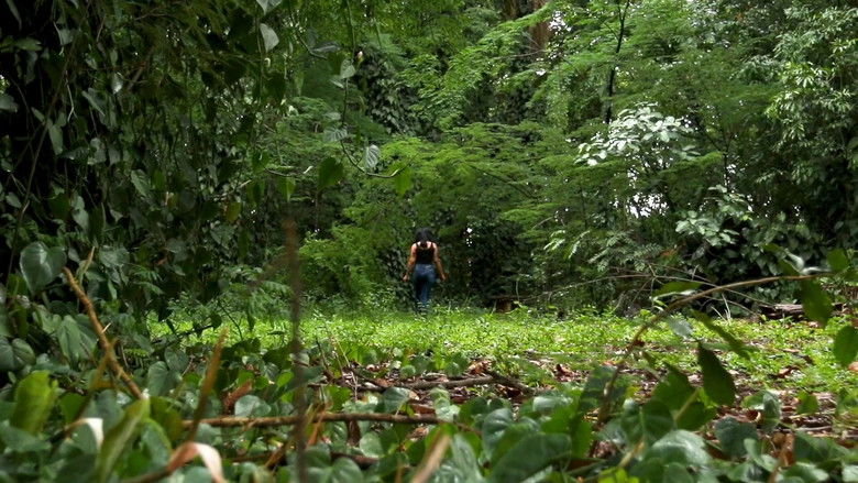 кадр из фильма Natur