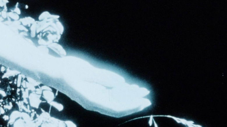 кадр из фильма Maternal Filigree