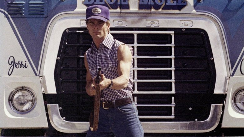 Лихорадка на белой полосе