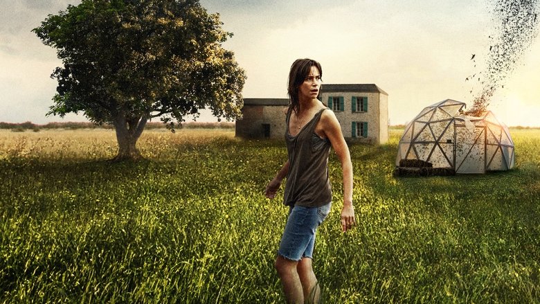 кадр из фильма Рой