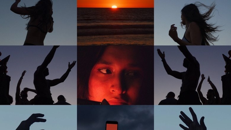 кадр из фильма Wilderness