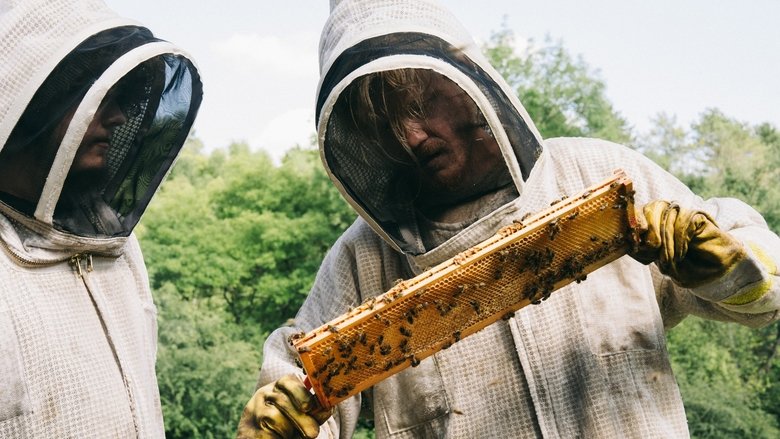 кадр из фильма Бугония