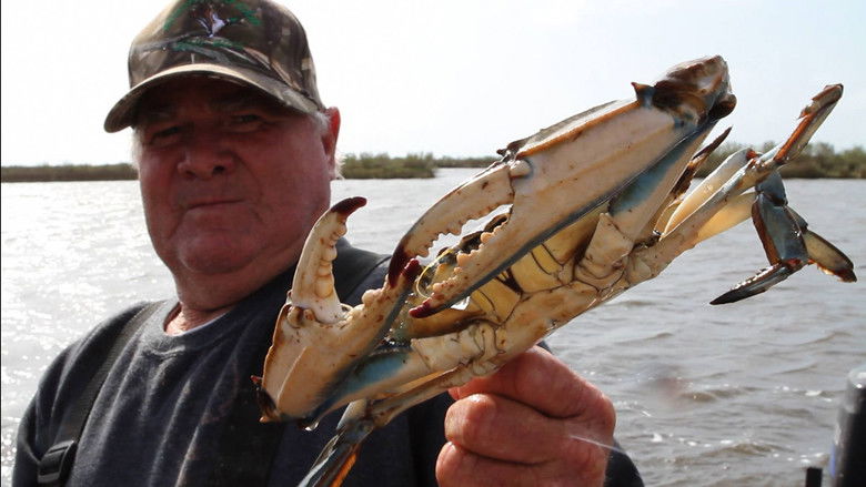 кадр из фильма Water Like Stone