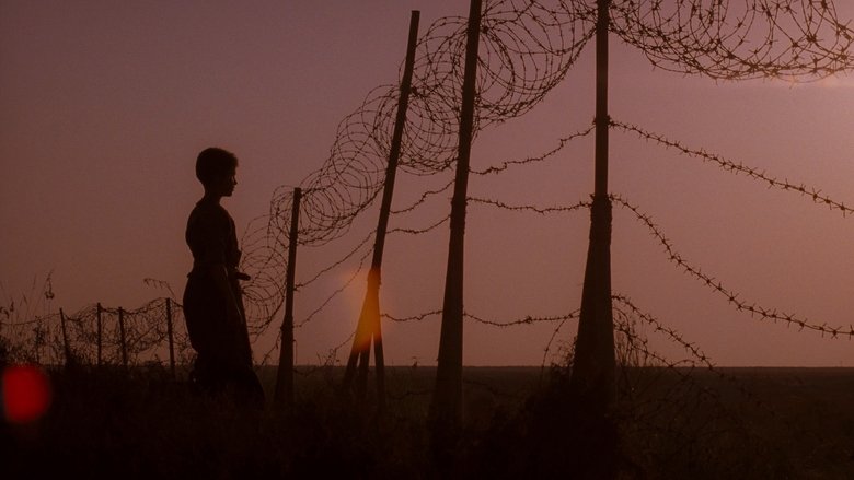 кадр из фильма Империя Солнца