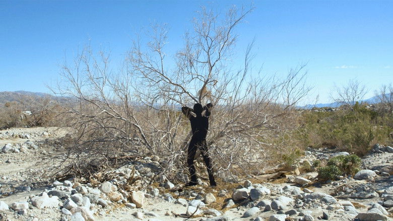 кадр из фильма The Wash