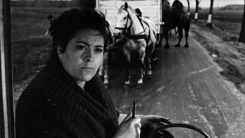 кадр из фильма Der rote Reiter