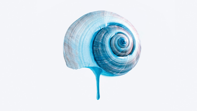 кадр из фильма O Último Azul