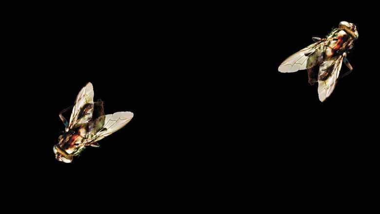 кадр из фильма Муха 2