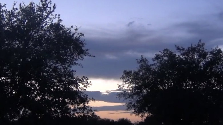 кадр из фильма Do Not Be Dismayed