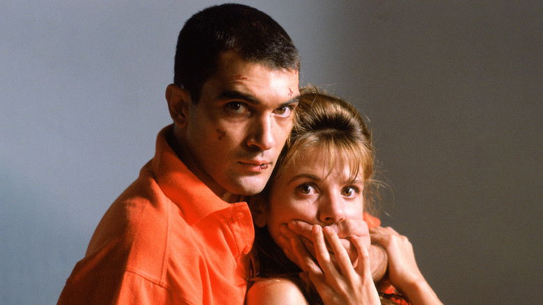 кадр из фильма Свяжи меня