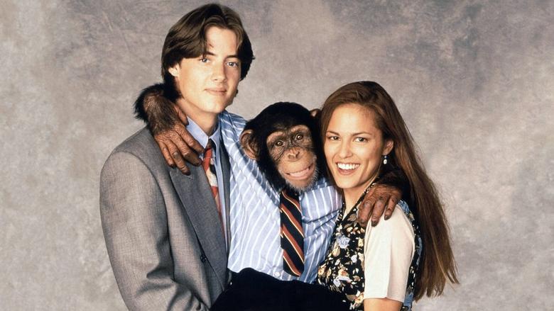 кадр из фильма The Barefoot Executive