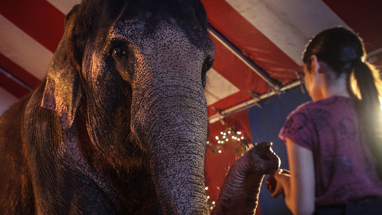 кадр из фильма Побег с Фионой