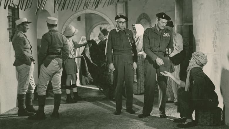 кадр из фильма En svensk tiger