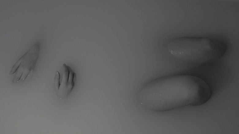 кадр из фильма De quel côté est la Seine ?