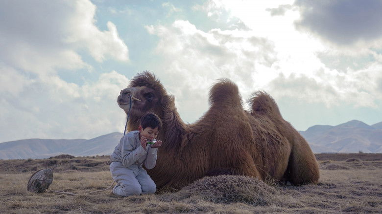 кадр из фильма 野小子