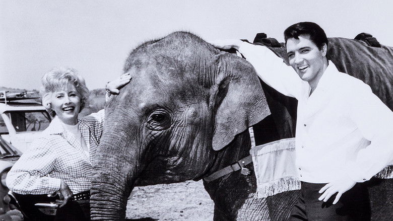 кадр из фильма Разнорабочий