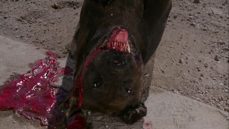 кадр из фильма El gran perro muerto