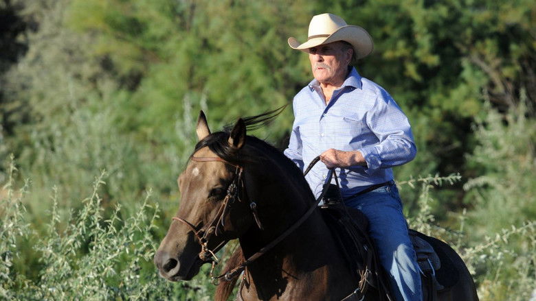 кадр из фильма Дикие лошади