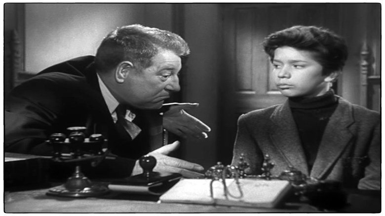 кадр из фильма Бродячие собаки без ошейников