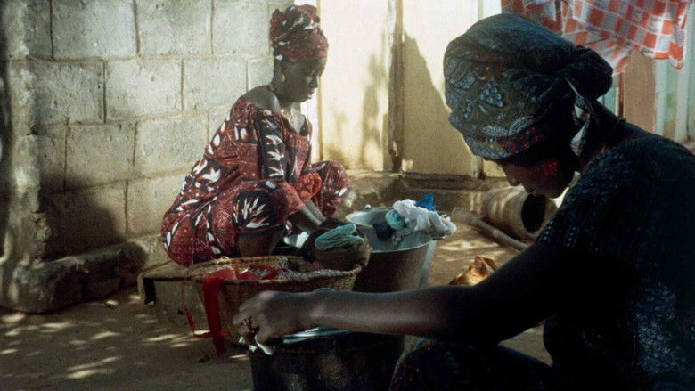 кадр из фильма Mandabi