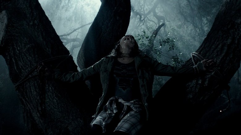 кадр из фильма Вуаль