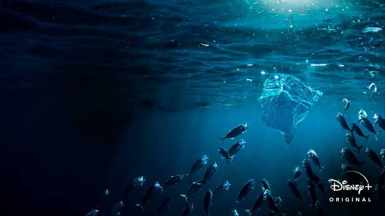 кадр из фильма La Méditerranée, une mer de plastique