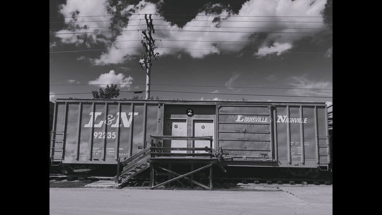 кадр из фильма Petalers