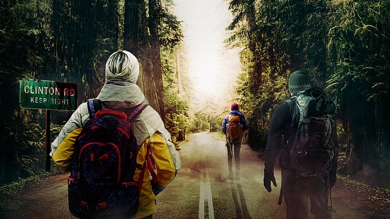 Дорога хаоса