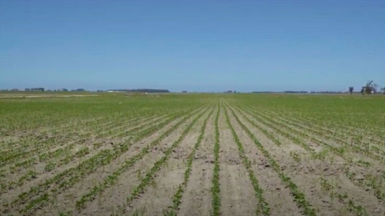 Campo e Sustentabilidade 2 – O Amanhã é Hoje