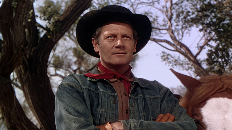 кадр из фильма Saddle Tramp