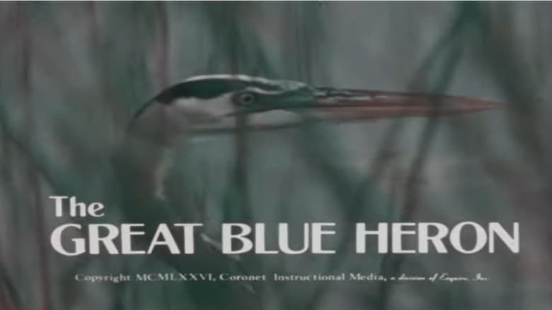 кадр из фильма The Great Blue Heron