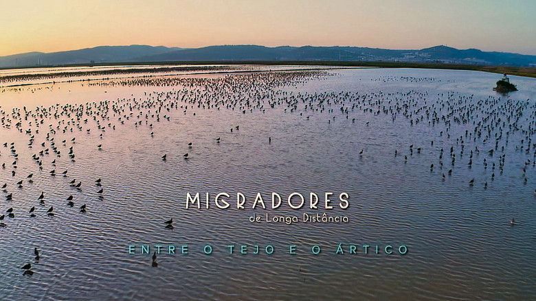 Migradores de Longa Distância: Entre o Tejo e o Ártico