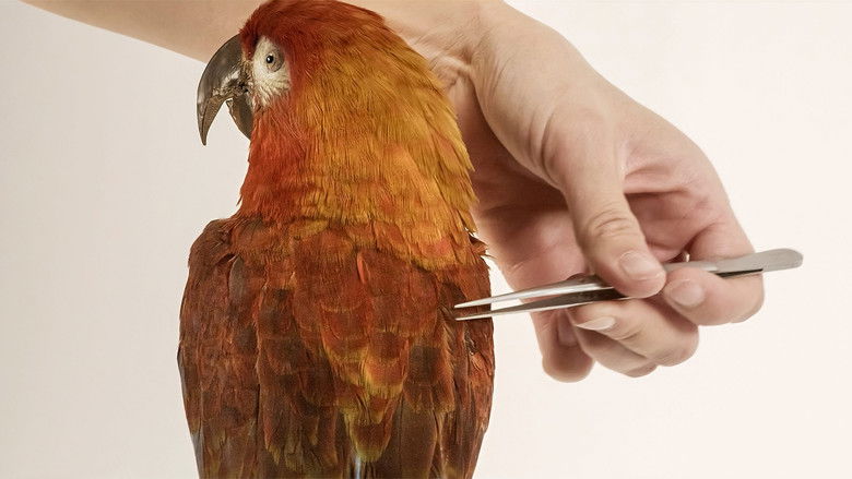 кадр из фильма Archiv der Zukunft