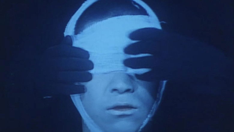 кадр из фильма 疱瘡譚