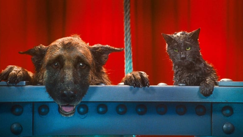 кадр из фильма Кошки против собак: Месть Китти Галор