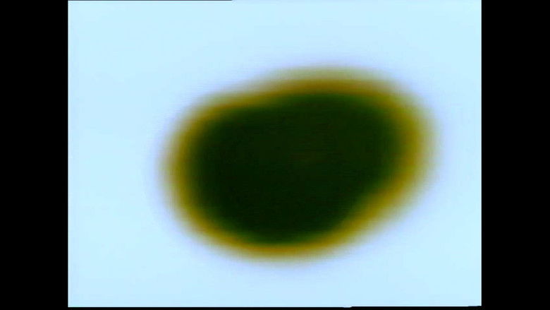 кадр из фильма Transmission Lost and Found