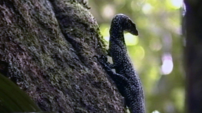 кадр из фильма Since the Company Came