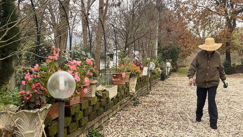 кадр из фильма Osé