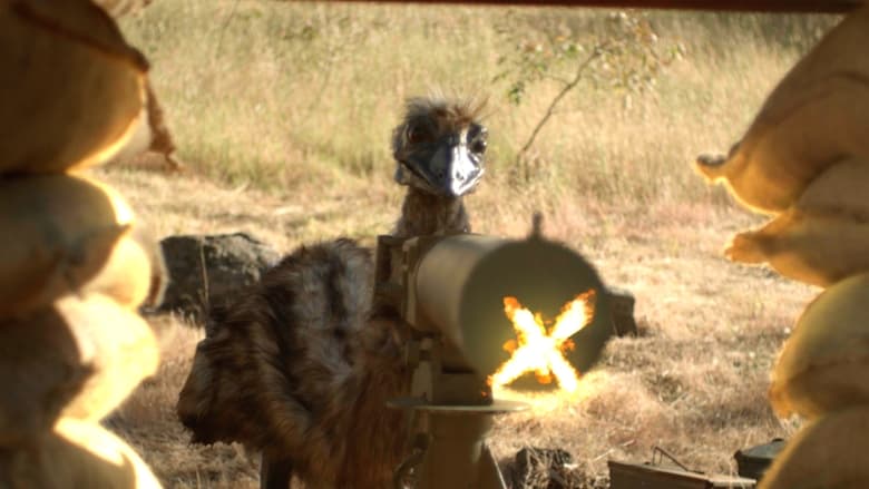 кадр из фильма The Emu War