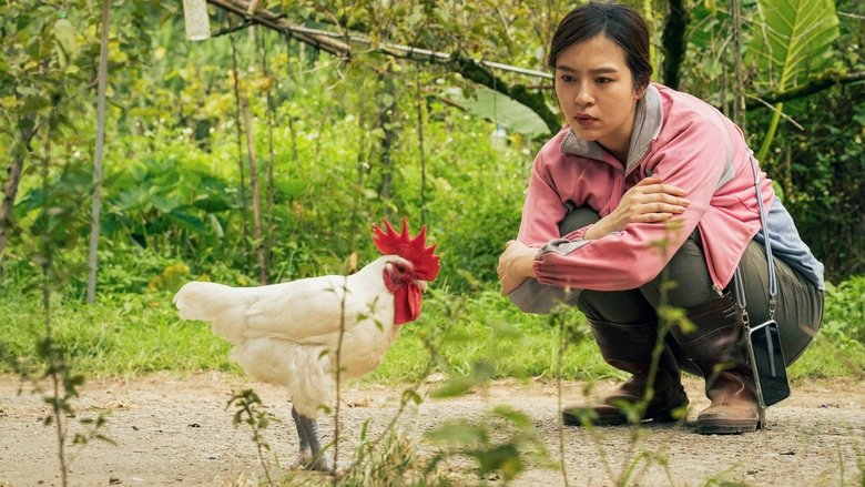 кадр из фильма 莎莉